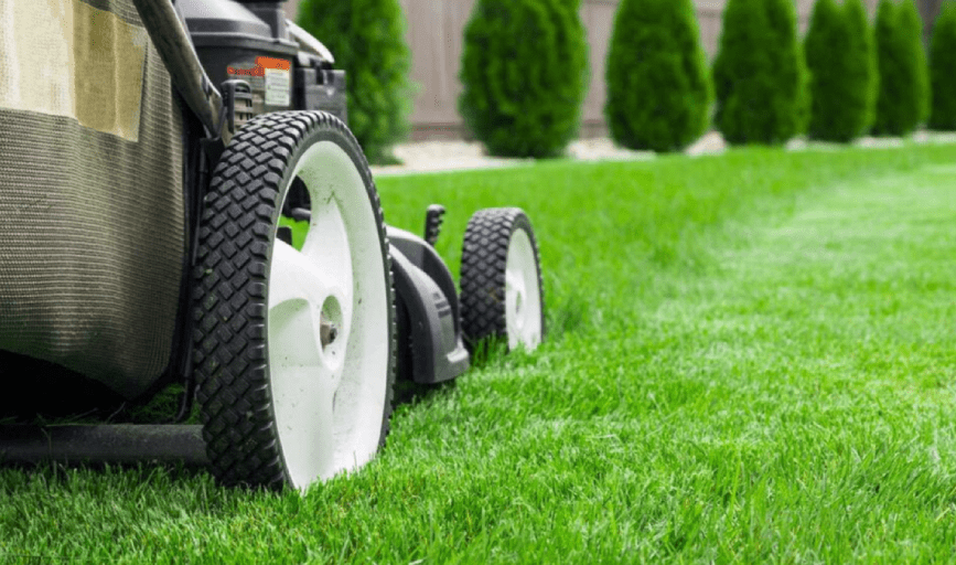 Lawn Mowing